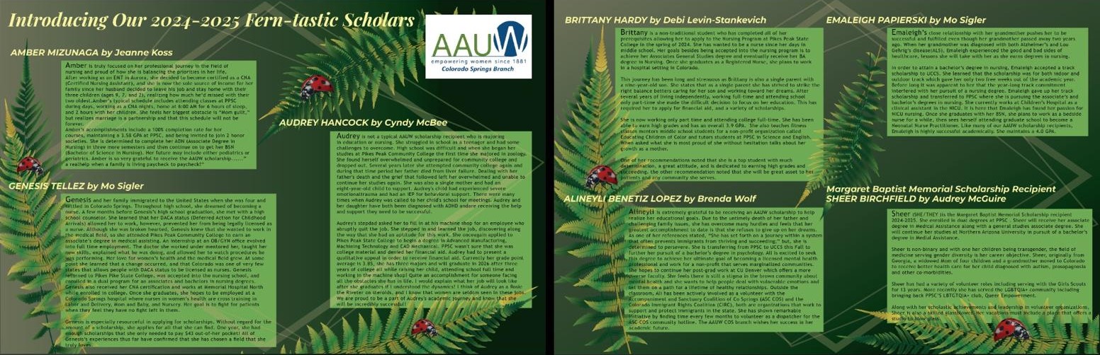 Marketing Materials Example 2